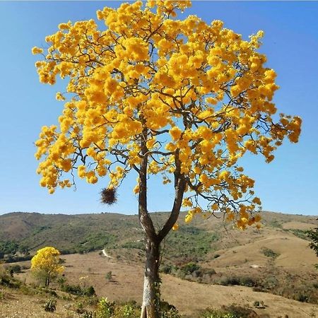 Pousada E Restaurante Boia Cross วาร์เจมบูนิตา ภายนอก รูปภาพ